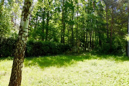 Działka budowlana na sprzedaż Grotniki, Grotniki, Jaśminowa 757m2 Foto 7