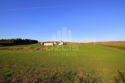 Działka inna na sprzedaż Janowo, Pelplińska 3 000m2 Foto 6