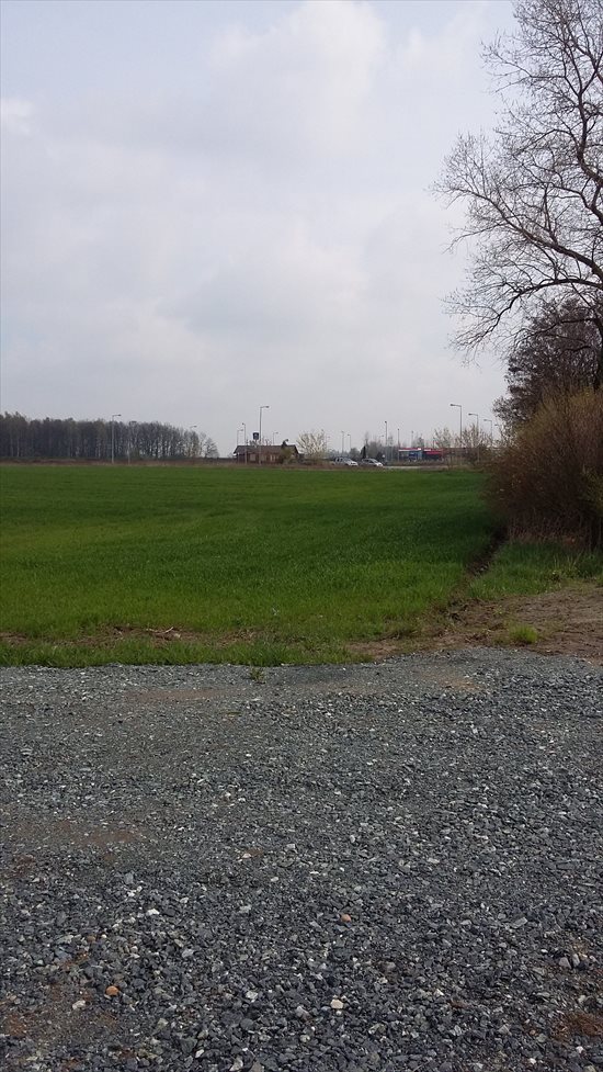 Działka inwestycyjna na sprzedaż Cieśle, Cieśle 26 300m2 Foto 8