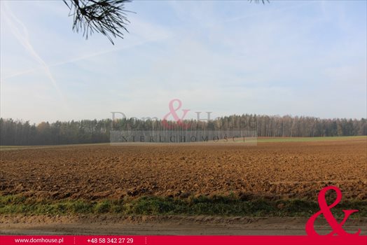 Działka budowlana na sprzedaż Żuławka, Leśna 1 730m2 Foto 3