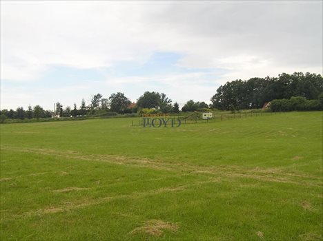 Działka budowlana na sprzedaż Stary Wielisław, Wybickiego 1 977m2 Foto 5