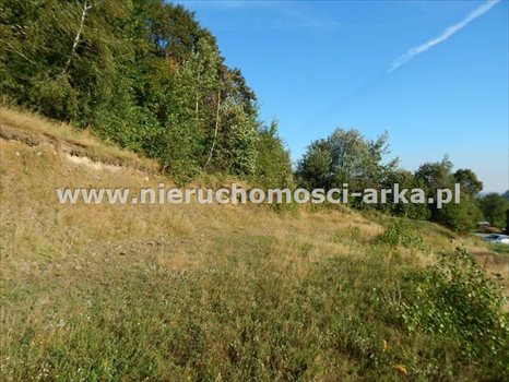 Działka budowlana na sprzedaż Mszana Dolna 1 531m2 Foto 6
