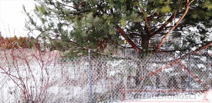 Działka budowlana na sprzedaż Łoś 1 200m2 Foto 4