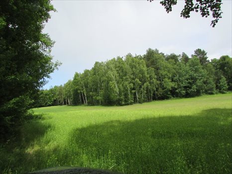 Działka rolna na sprzedaż Łagówek 16 100m2 Foto 5