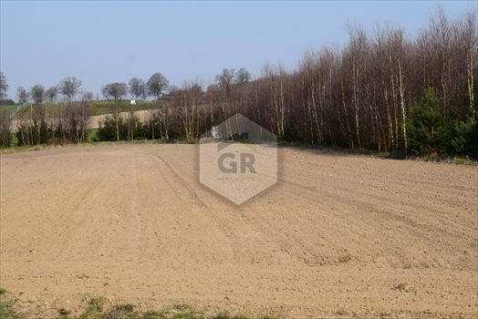 Działka budowlana na sprzedaż Stare Polaszki 6 251m2 Foto 5