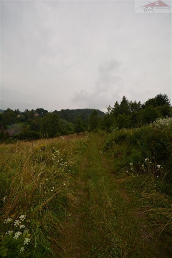 Działka rekreacyjna na sprzedaż Morochów 742m2 Foto 3