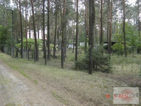 Działka budowlana na sprzedaż Ustronie 1 081m2 Foto 3