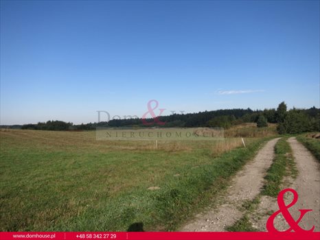 Działka budowlana na sprzedaż Nowa Wieś Przywidzka, Piastowska 3 002m2 Foto 5
