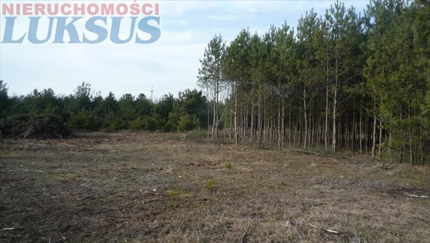 Działka budowlana na sprzedaż Prace Duże, Prace Duże 1 204m2 Foto 2