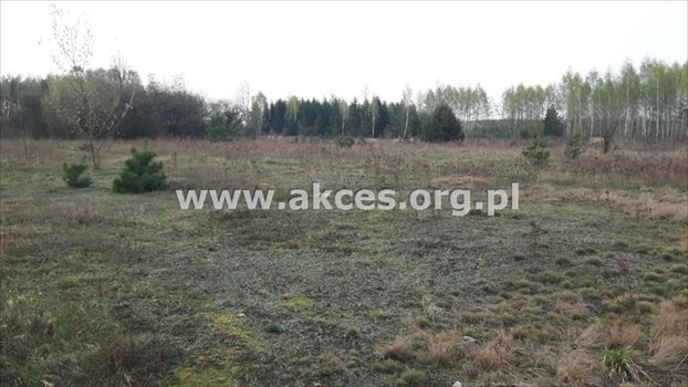 Działka budowlana na sprzedaż Stefanówka 6 231m2 Foto 4
