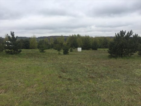 Działka inna na sprzedaż Czerniewo, CZERNIEWO, XXXXX 1 500m2 Foto 7