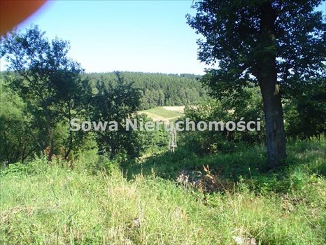 Działka budowlana na sprzedaż Wałbrzych, Stary Glinik 449m2 Foto 8