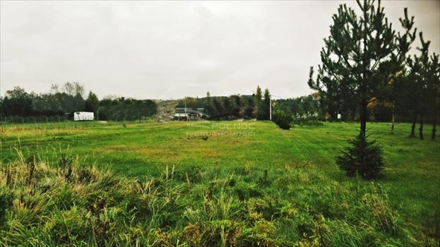 Działka budowlana na sprzedaż Gołaczewy 2 376m2 Foto 2
