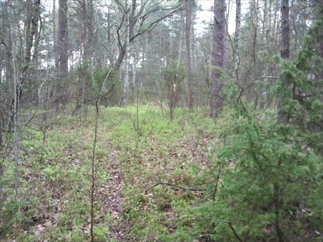 Działka budowlana na sprzedaż Ruda 6 100m2 Foto 4
