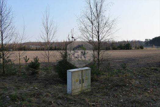 Działka budowlana na sprzedaż Stare Polaszki 6 251m2 Foto 10