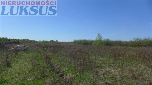 Działka budowlana na sprzedaż Grzędy 1 717m2 Foto 2