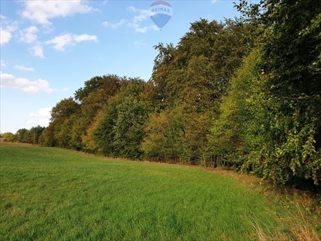 Działka siedliskowa na sprzedaż Sobącz 48 970m2 Foto 9