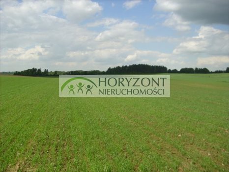 Działka rolna na sprzedaż Małkowo 3 172m2 Foto 4
