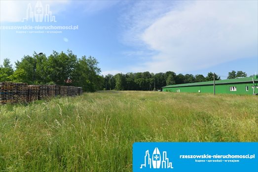 Działka inna pod dzierżawę Dąbrówki, Dąbrówki 6 000m2 Foto 1
