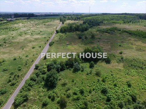 Działka budowlana na sprzedaż Poznań, Morasko 4 942m2 Foto 3