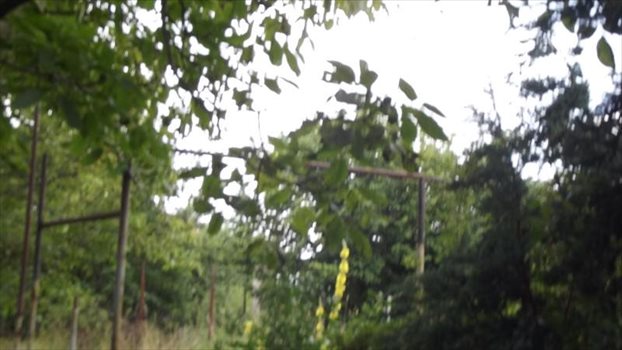 Działka budowlana na sprzedaż Rewa, Bukowy las 1 793m2 Foto 7