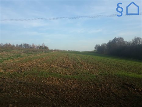 Działka budowlana na sprzedaż Sułkowice 900m2 Foto 11