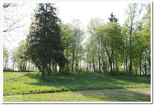 Dom na sprzedaż Żywki 350m2 Foto 9