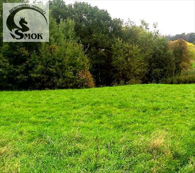 Działka budowlana na sprzedaż Gaj 1 000m2 Foto 1