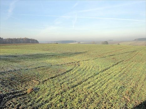 Działka inna na sprzedaż Golęczewo, Suchy Las 16 695m2 Foto 3