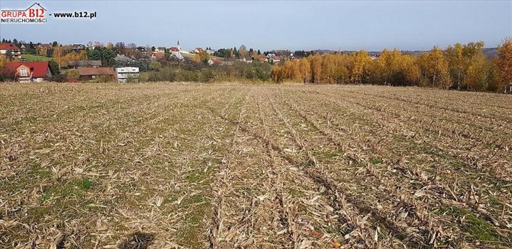 Działka budowlana na sprzedaż Koźmice Wielkie, Koźmice Wielkie, Koźmice Wielkie 1 200m2 Foto 4