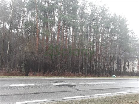 Działka budowlana na sprzedaż Józefów 2 145m2 Foto 4