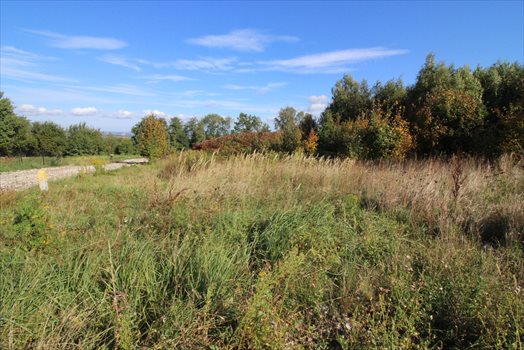 Działka inna na sprzedaż Rzeszów 1 313m2 Foto 3