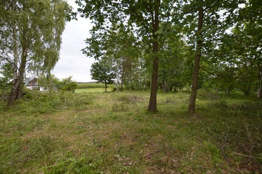 Działka budowlana na sprzedaż Bojano, Las, Tereny rekreacyjne, Lesoki 1 500m2 Foto 4