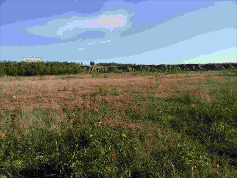 Działka komercyjna na sprzedaż Zakrzewo 18 000m2 Foto 3