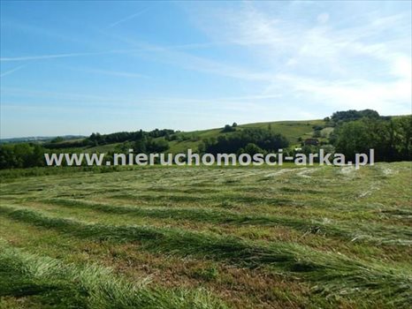 Działka budowlana na sprzedaż Skrzydlna 1 450m2 Foto 2