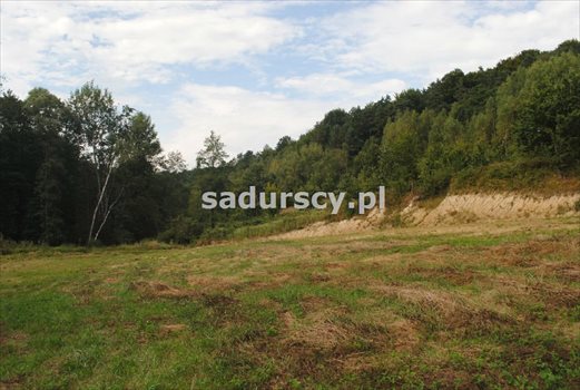 Działka budowlana pod dzierżawę Gosprzydowa 50 000m2 Foto 9