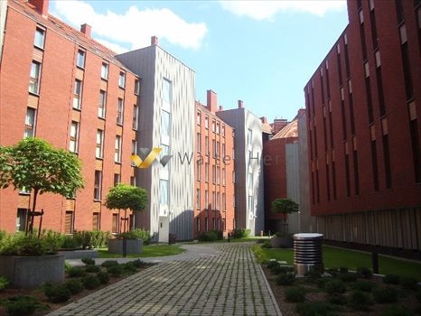Lokal użytkowy na wynajem Poznań 508m2 Foto 4
