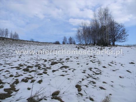 Działka budowlana na sprzedaż Walowa Góra 4 800m2 Foto 6