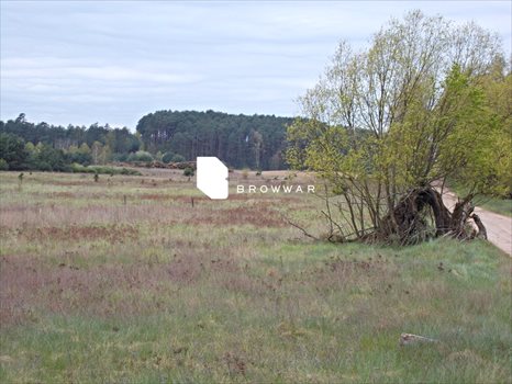 Działka budowlana na sprzedaż Silna 2 969m2 Foto 9