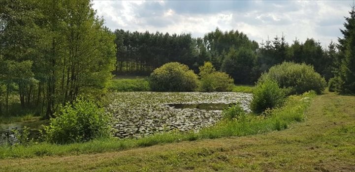 Dom na sprzedaż Szymbark, Polna 184m2 Foto 10