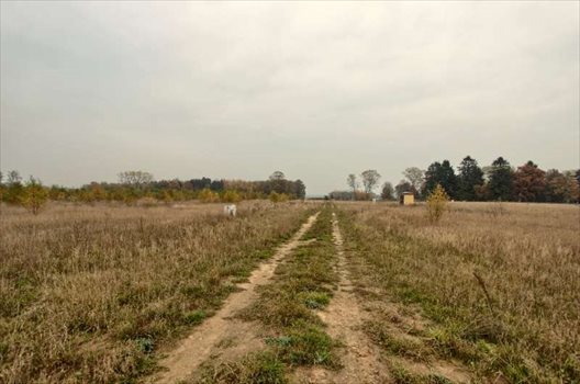 Działka budowlana na sprzedaż Łukęcin 1 104m2 Foto 7