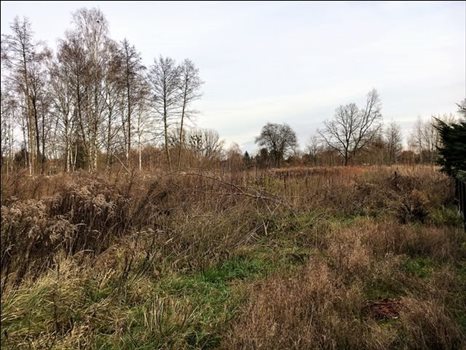 Działka budowlana na sprzedaż Konstancin-jeziorna, Skolimów, Pułaskiego 1 500m2 Foto 1