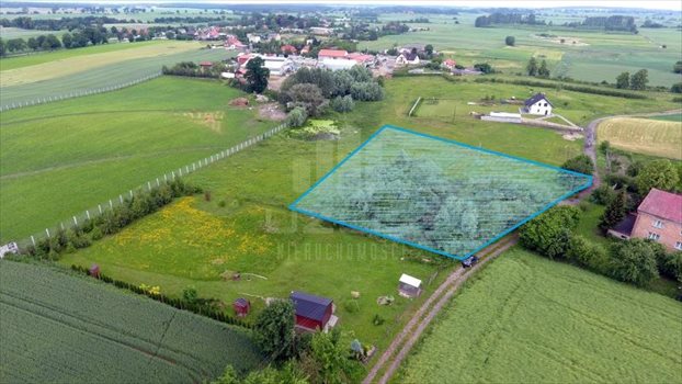 Działka inna na sprzedaż Gołębiewko 3 011m2 Foto 2