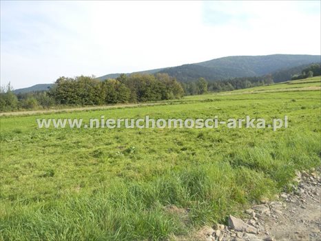 Działka budowlana na sprzedaż Dobra 1 300m2 Foto 2
