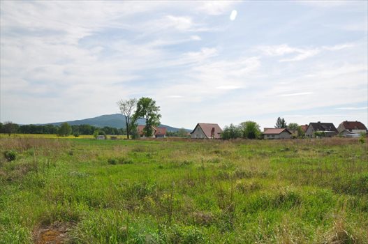 Działka budowlana na sprzedaż Rogów Sobócki, Radosna 1 178m2 Foto 6