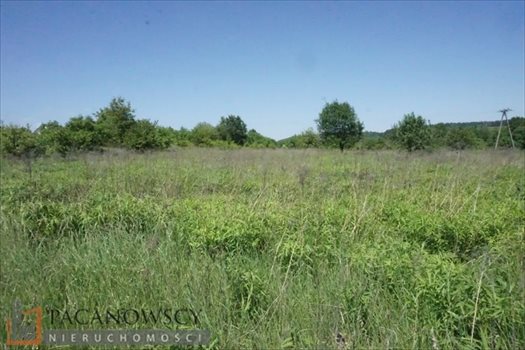 Działka budowlana na sprzedaż Balice 6 700m2 Foto 2