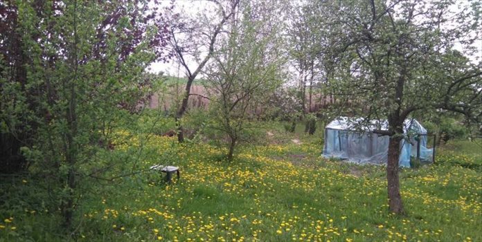 Dom na sprzedaż Barnowiec 180m2 Foto 6