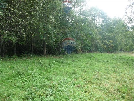 Działka budowlana na sprzedaż Rabka-Zdrój 5 650m2 Foto 7