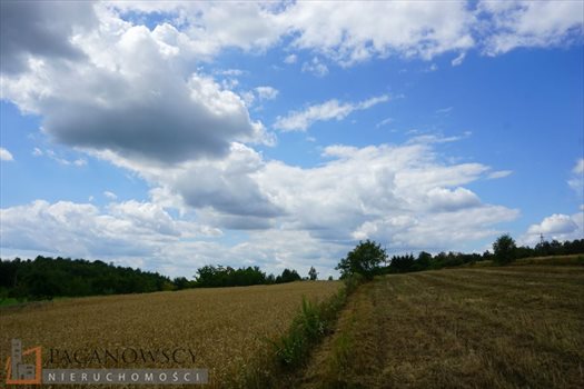 Działka budowlana na sprzedaż Bębło 2 900m2 Foto 4