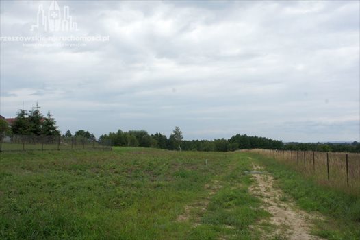 Działka budowlana na sprzedaż Strażów 4 500m2 Foto 1